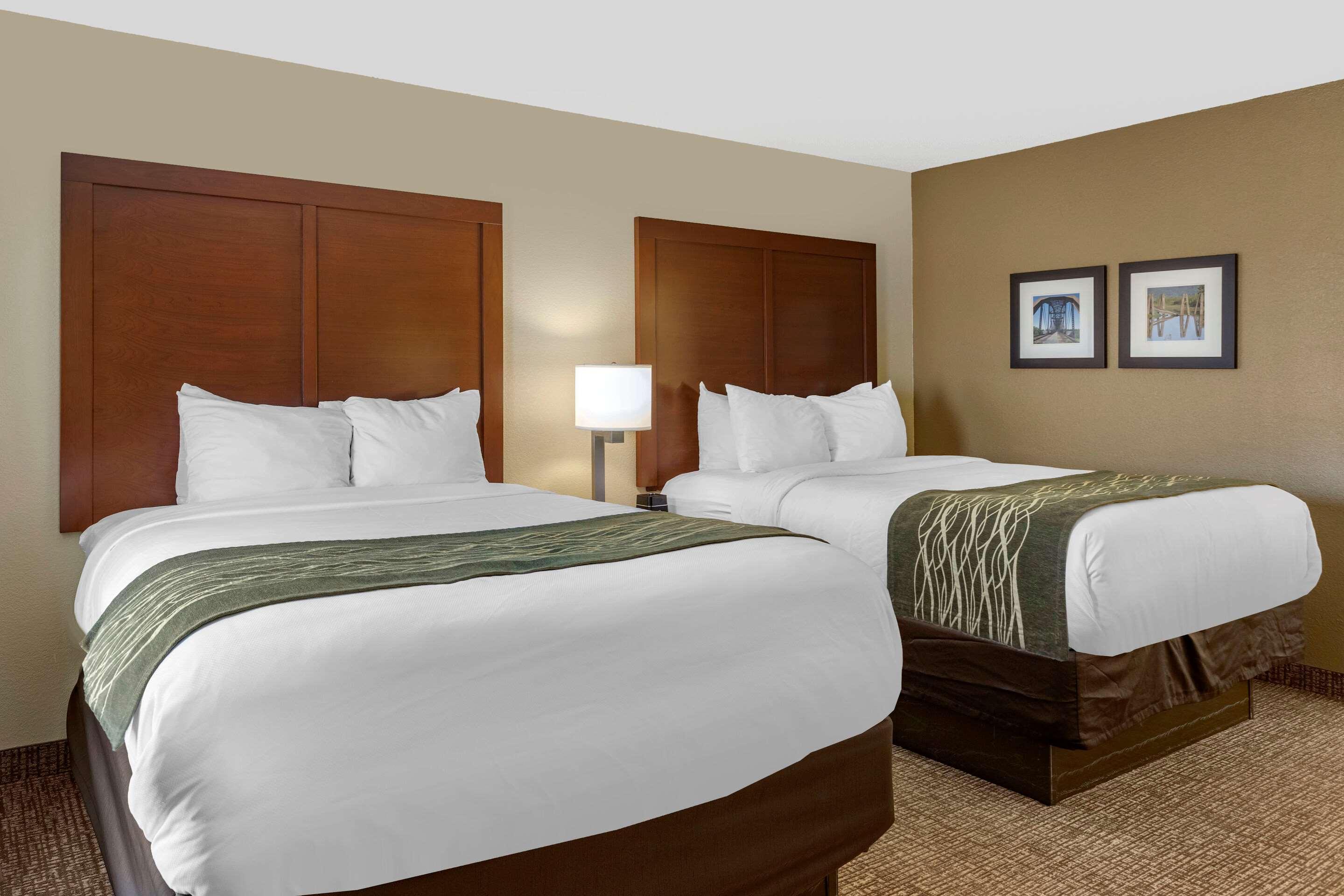 Comfort Inn & Suites Airport Little Rock Esterno foto